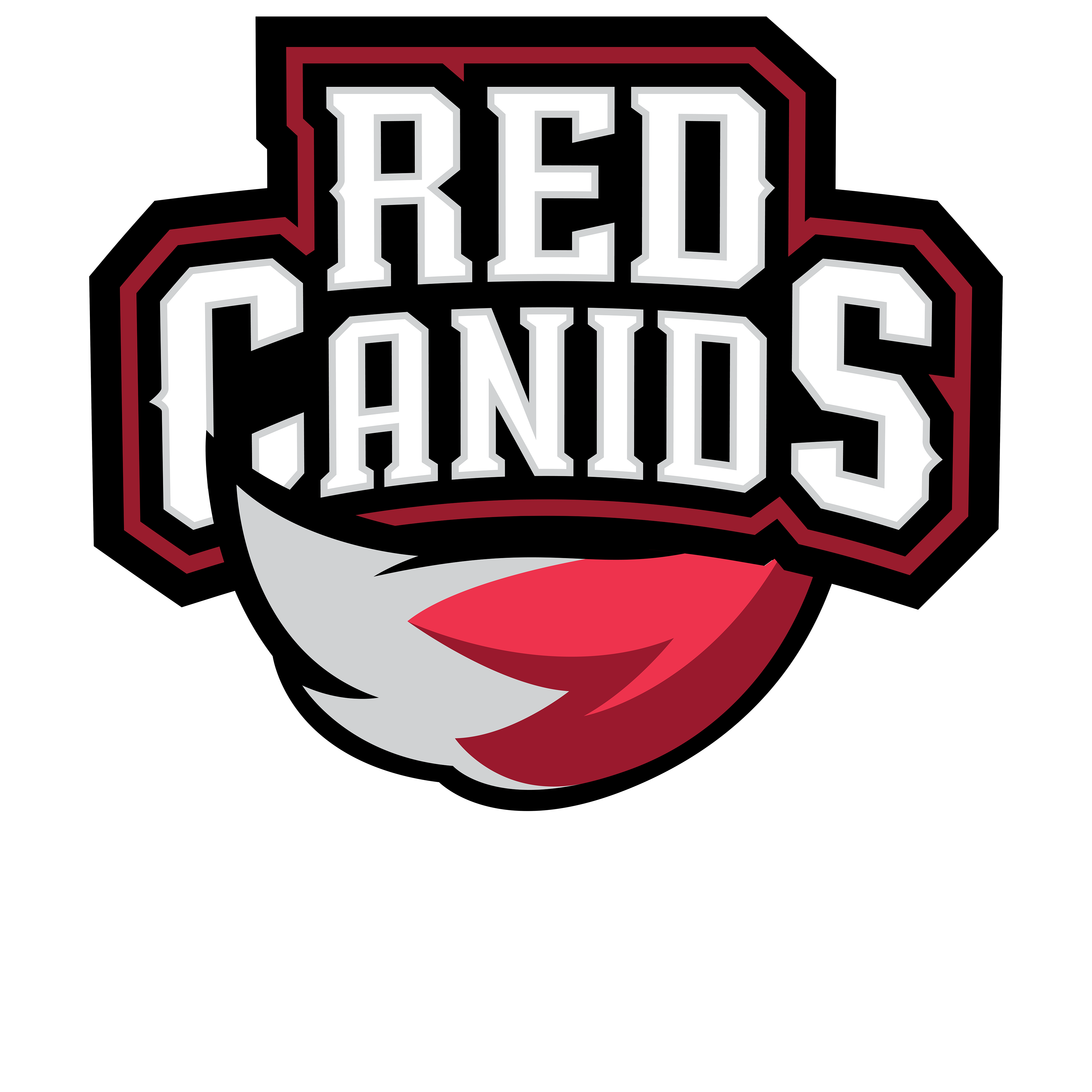 RED Kalunga Academy