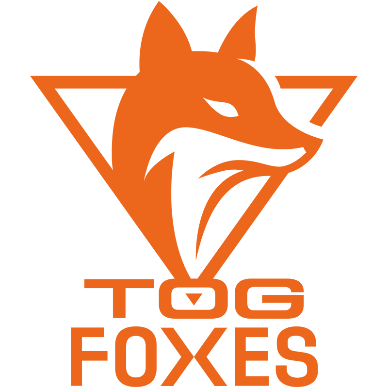 TeamOrangeGaming