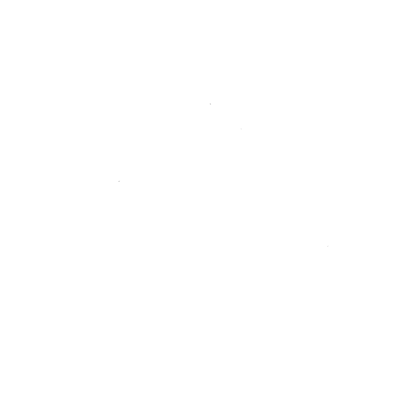 Otter Side