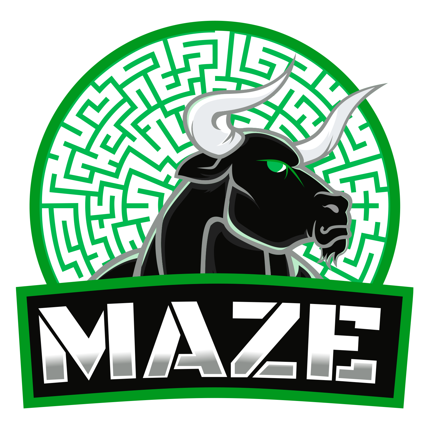 Maze Gaming