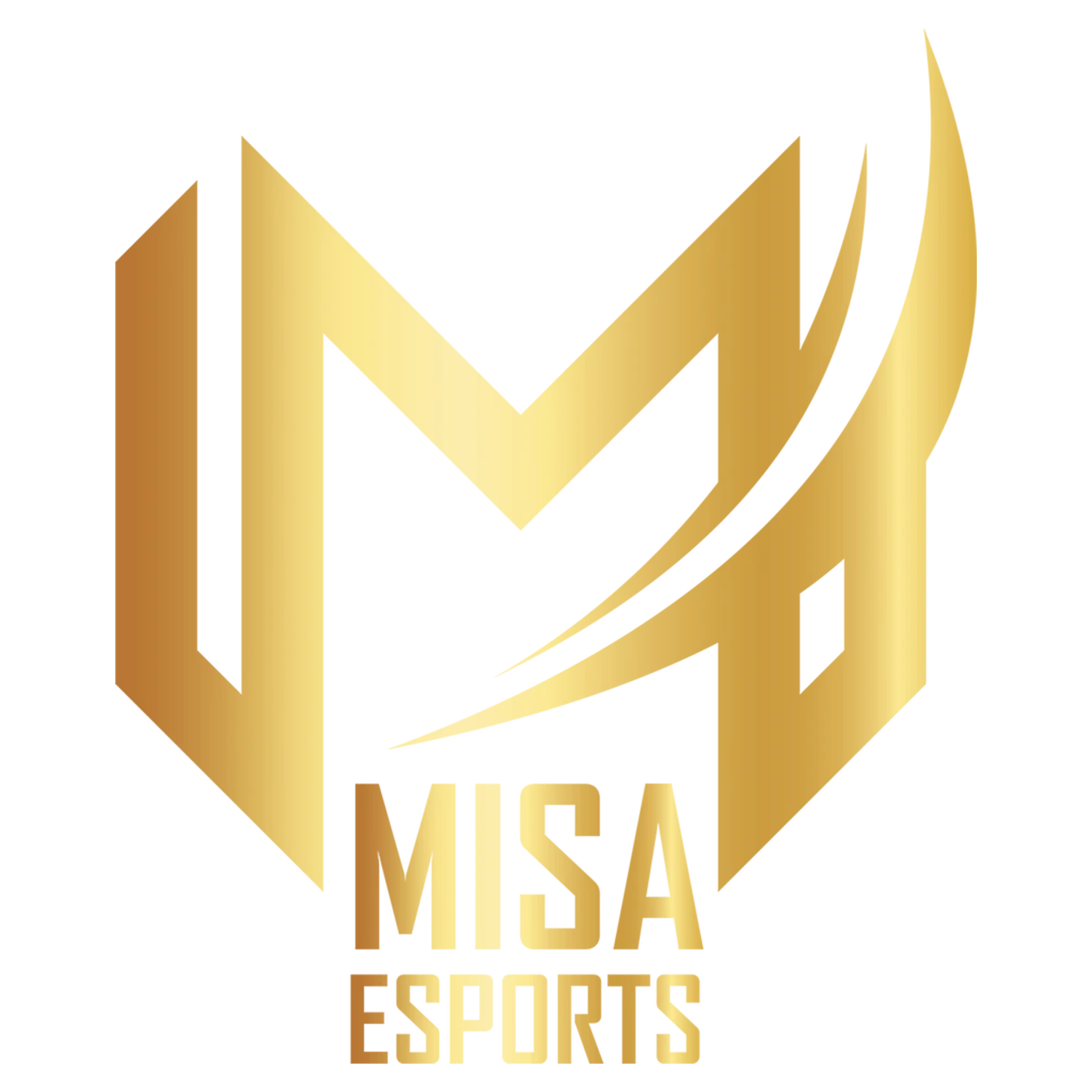 Misa Esports