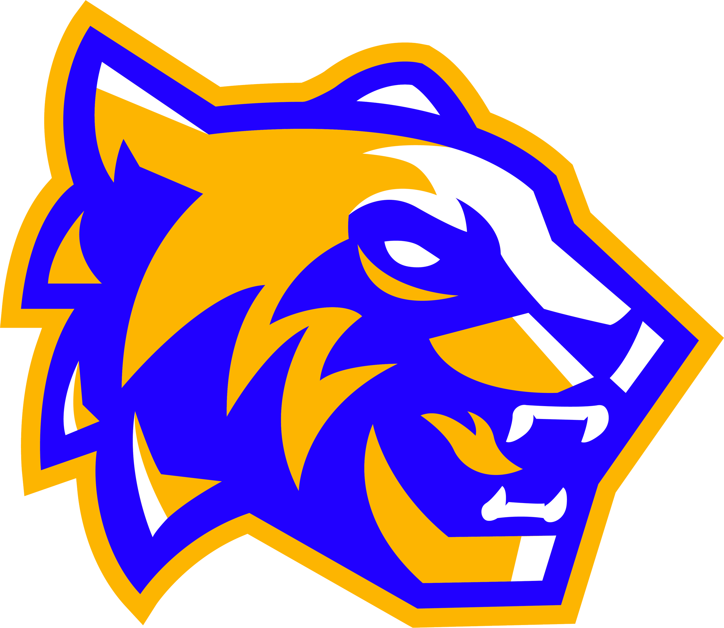 SDM Tigres